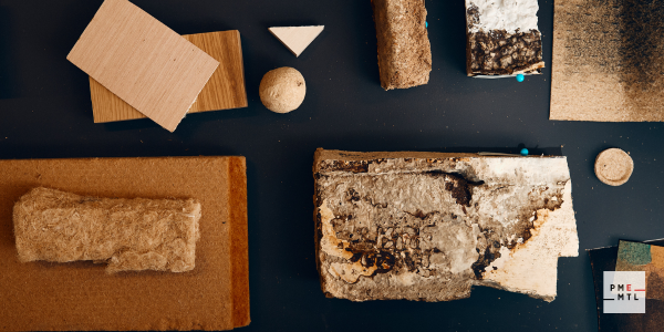 68a3318e9bb58-CORPS_DE_TEXTE_600x300_ECOSCENO_1.png