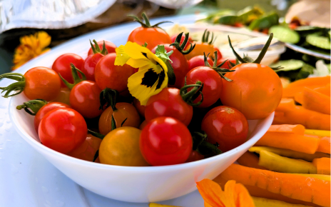 5a7 Horitcoles 2 464 x 290