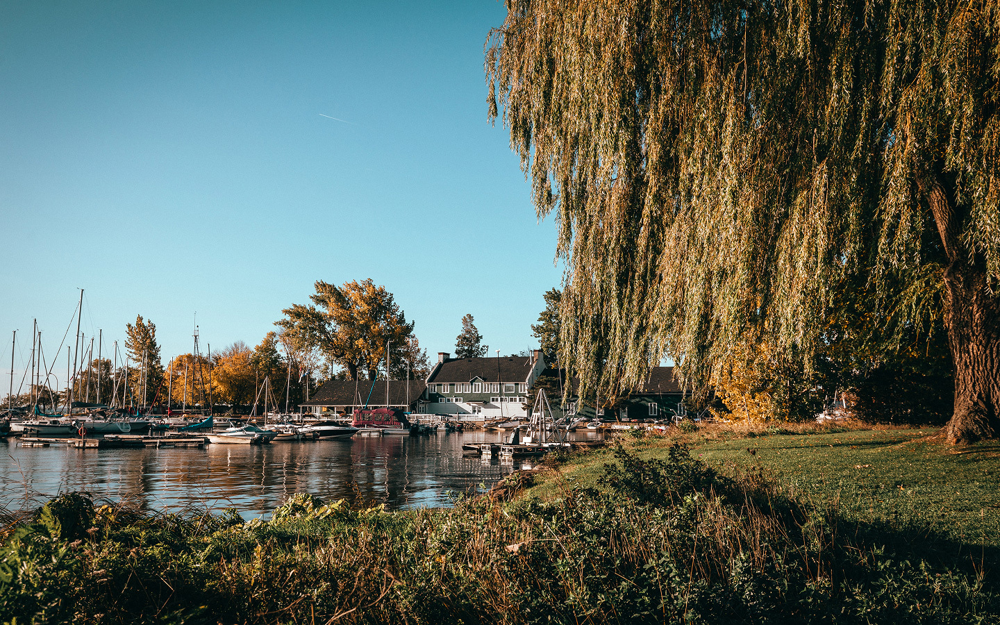 ODI Borddeleau Pointe Claire Grande